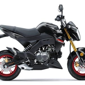 2019 Kawasaki Z125PRO